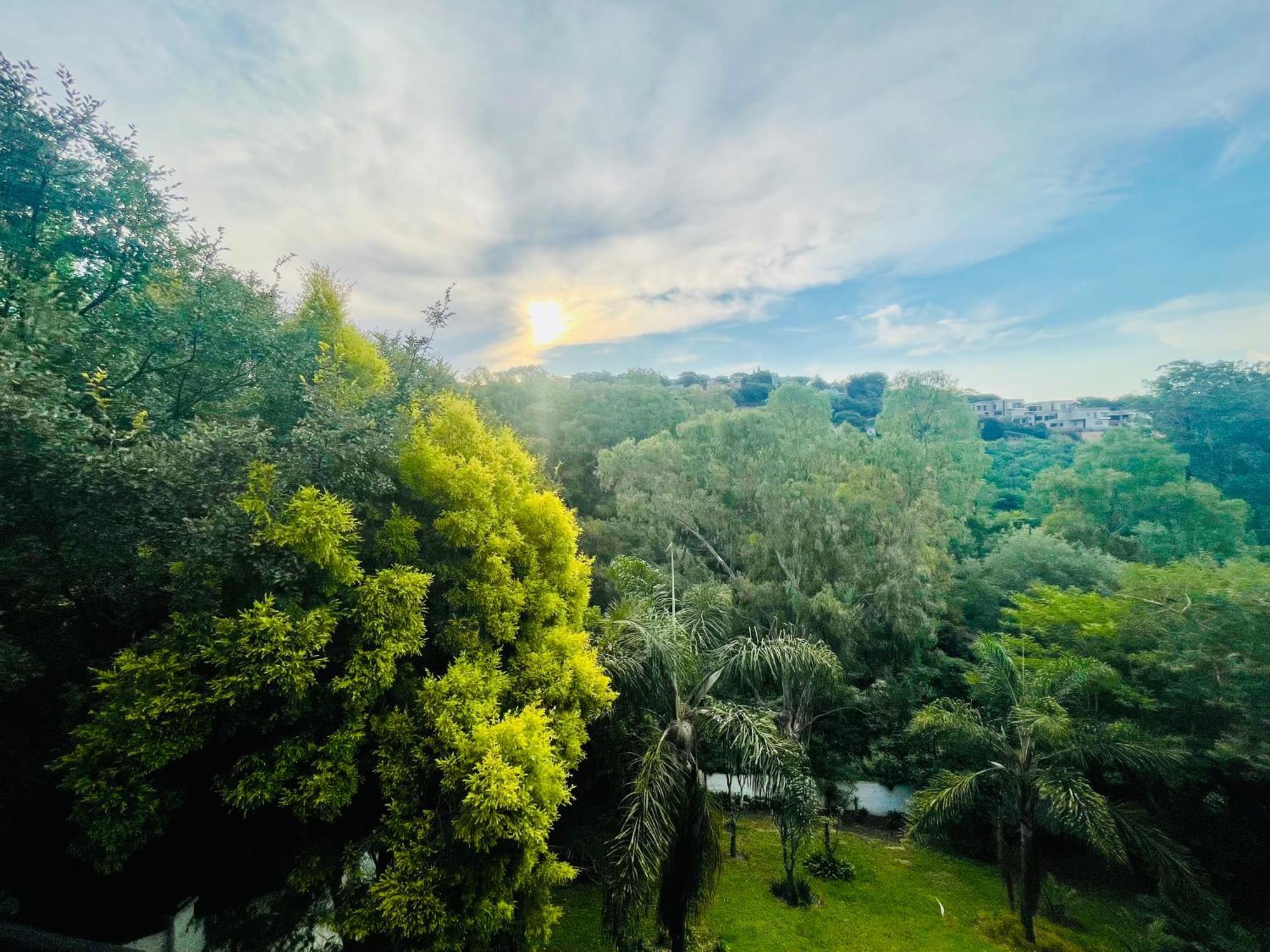 Pretoria Mansion Boutique Hotel Coral Tree 외부 사진